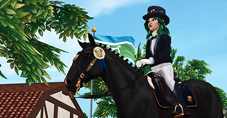 comment installer star stable online sur pc